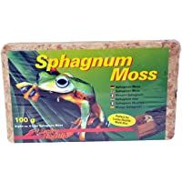 Lucky Reptile SM-100 Spaghnum Moss Brick- 100 g